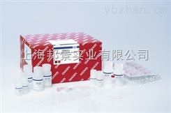 小鼠6酮前列腺素F1aelisa检测试剂盒价格