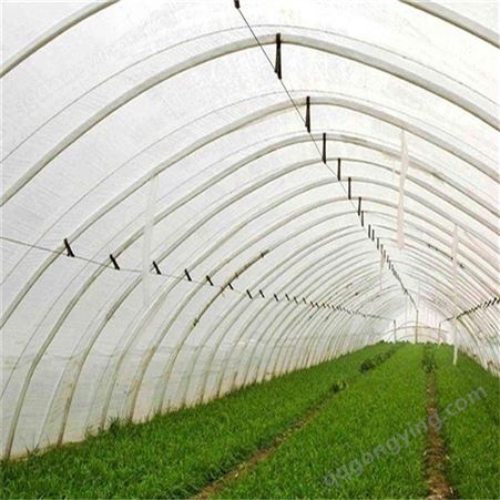 日光温室大棚 蔬菜育苗养殖大棚骨架 智能控制系统 保温透光