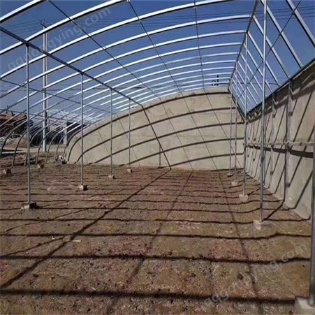 日光温室大棚 蔬菜育苗养殖大棚骨架 智能控制系统 保温透光